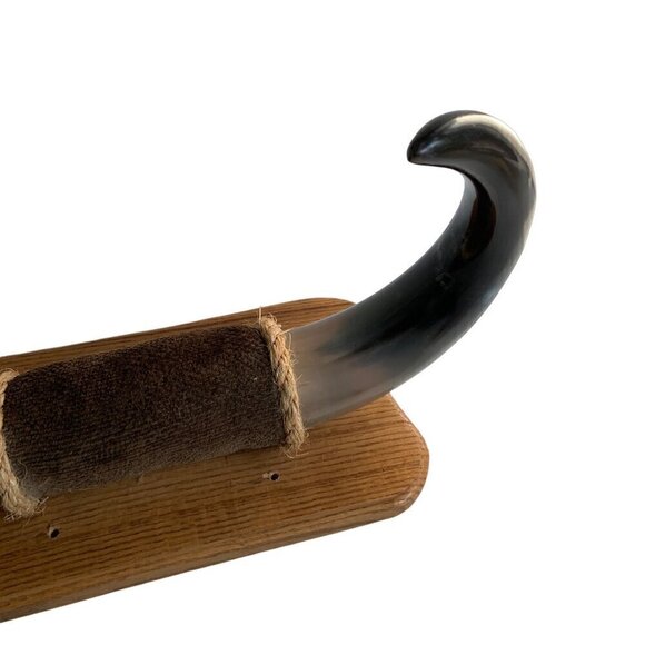 Animal Horn Bull Buffalo ? Mounted 18" Width - Picture 3 of 8